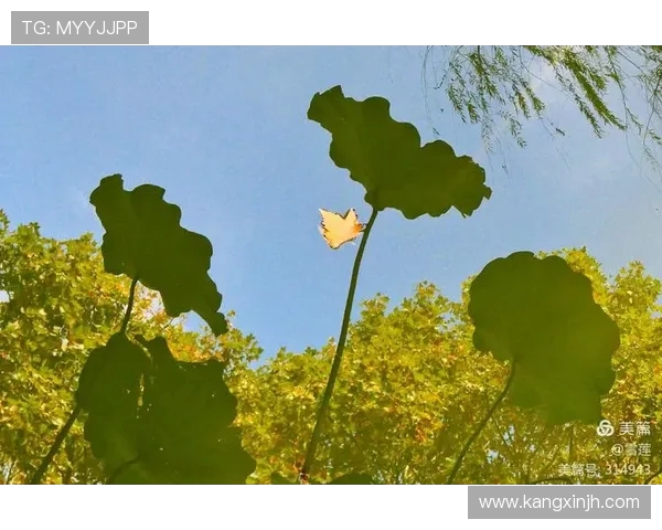 BLG在洲际赛中的奋战之路与突破成就全景回顾 BLG在洲际赛中的奋战之路与突破成就全景回顾