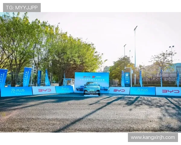 成都滑板队引领潮流最新滑板团队协作排名前十揭晓