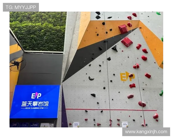 杭州攀岩队的进攻策略与训练深度揭秘攀岩运动的魅力与挑战