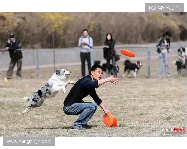 杭州飞盘队与南京飞盘队技术对抗赛后分析与战术总结