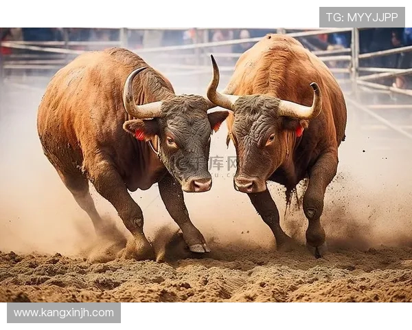 18勇士与公牛精彩对决视频回顾全场精彩瞬间与关键时刻分析